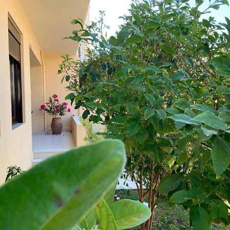 Antonis Chania City Family House Buitenkant foto